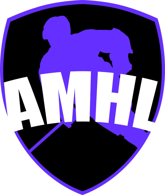 Amatérská hokejová liga